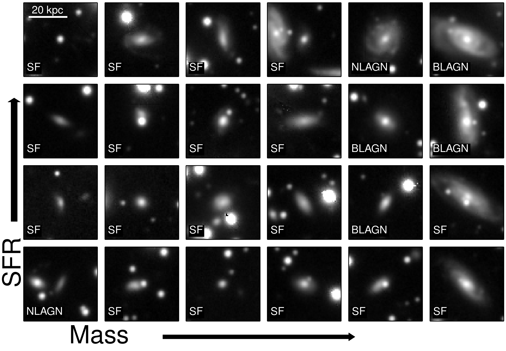 H&alpha; emitter morphologies